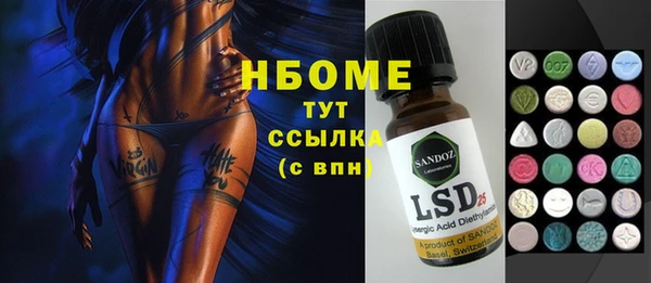 шишки Щигры